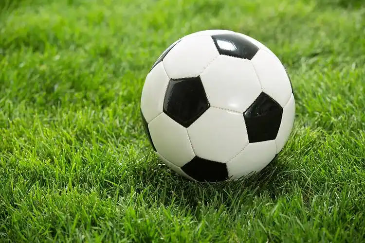 专业分析师工作场景